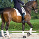Illustration for article titled Ann Romneys Fancy Dancing Horse Is Headed to the Olympics